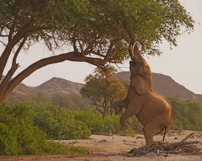 Elephant Climbing A Tree Painting By Numbers Kits