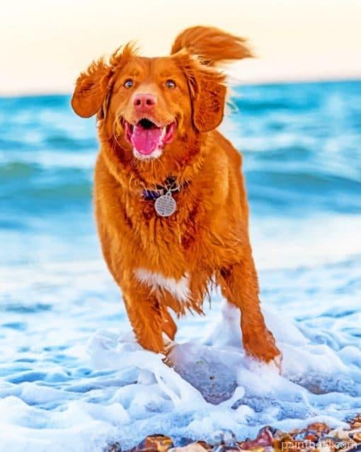 Dog Running In Beach – 5D Diamond Painting Painting By Numbers Kits