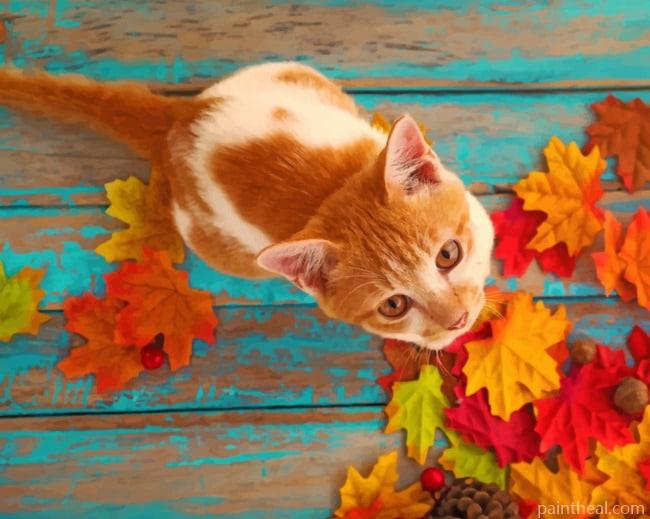 Orange Cat And Fall Leaves Painting By Numbers Kits