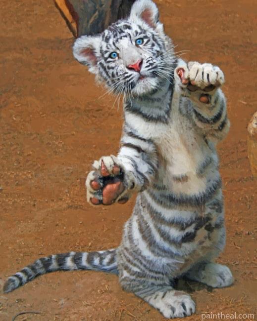 Cute White Tiger Painting By Numbers Kits