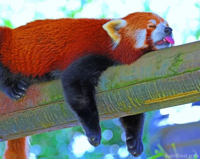 Sleeping Red Panda Lesser Painting By Numbers Kits