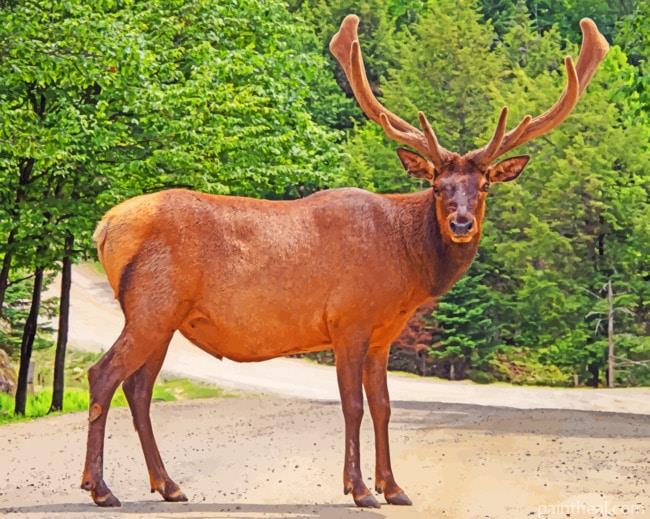 Lone Deer Painting By Numbers Kits