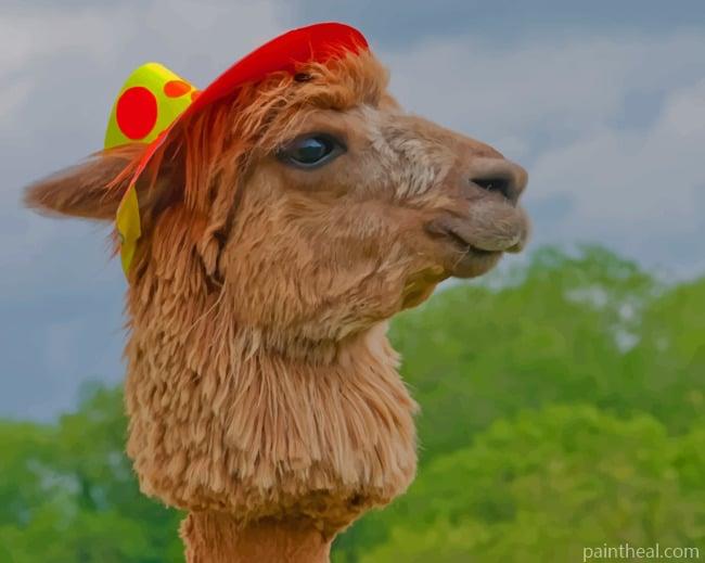 Alpaca Domesticated Llamas Painting By Numbers Kits