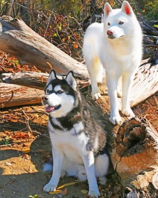 Siberian Huskies – 5D Diamond Painting Painting By Numbers Kits
