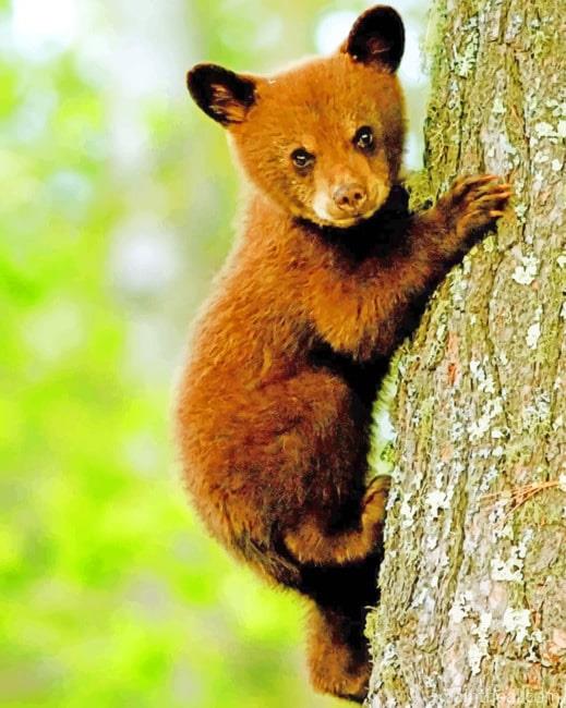 Small Bear On Tree Painting By Numbers Kits