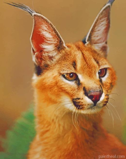 Caracal Cat Portrait Painting By Numbers Kits