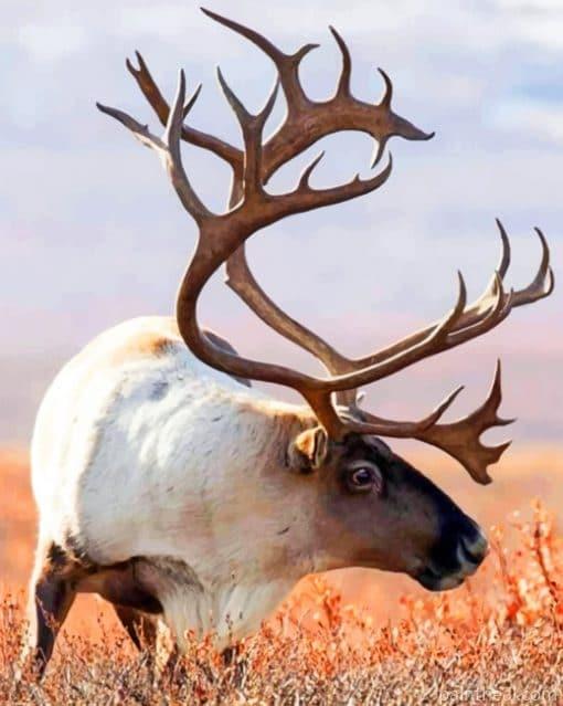 Alaskan Moose In A Field Painting By Numbers Kits