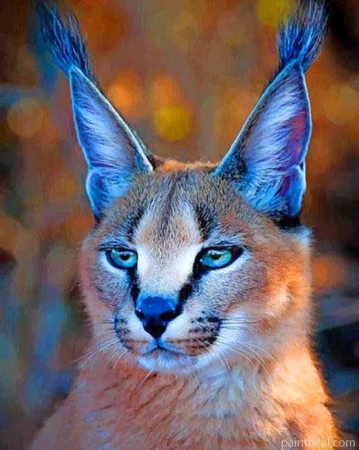 African Caracal Cat Painting By Numbers Kits