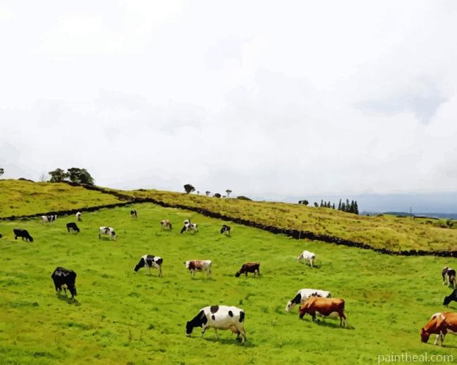Cows In A Field Painting By Numbers Kits