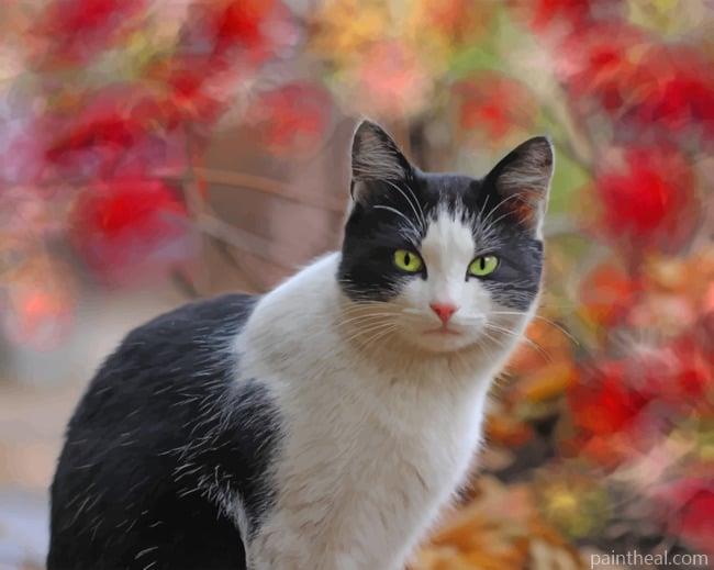 Green Eyed Cat Painting By Numbers Kits