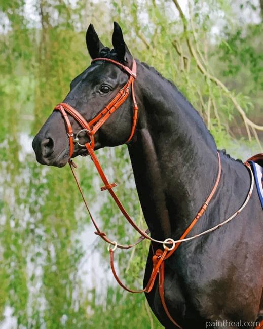 Black Horse Standing Painting By Numbers Kits