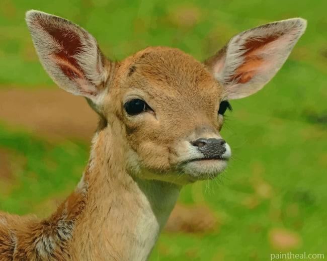 New Born Deer Painting By Numbers Kits