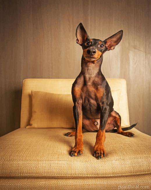 Mini Doberman Painting By Numbers Kits