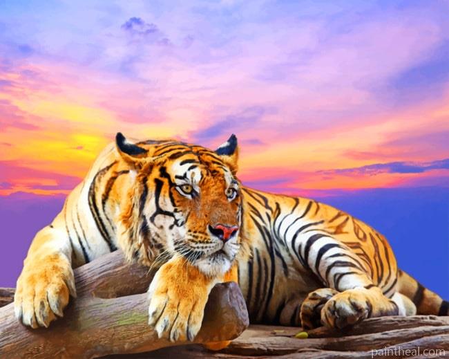 Big Cat Tiger Painting By Numbers Kits