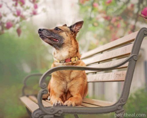 German Shepherd On The Bench – 5D Diamond Paintings Painting By Numbers Kits