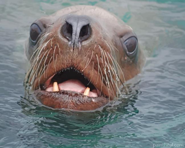 Stellar Sea Lion Wildlife Painting By Numbers Kits