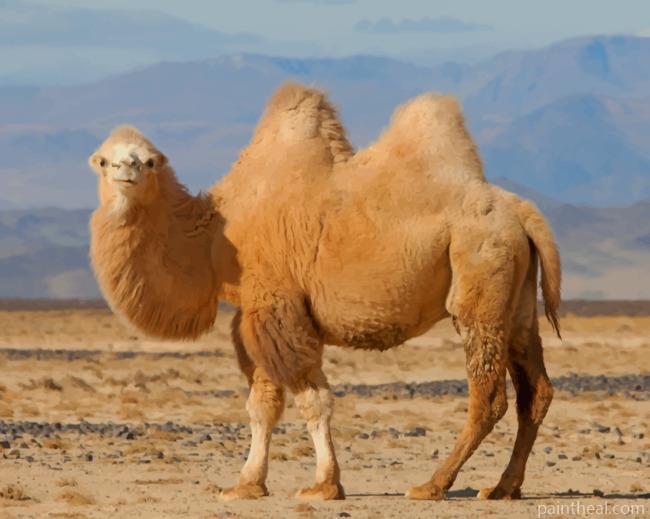 Brown Desert Camel Painting By Numbers Kits