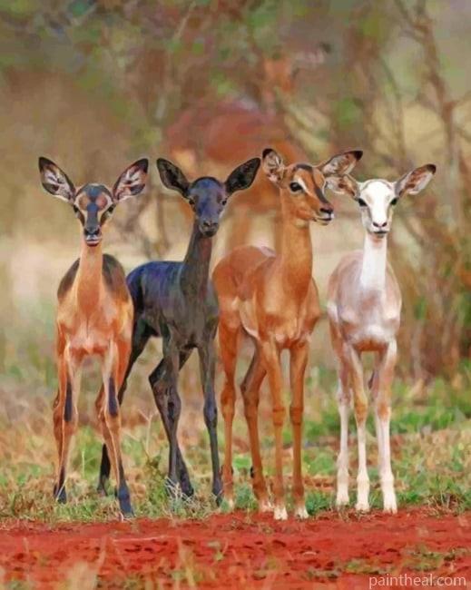 Cute Baby Deers Painting By Numbers Kits