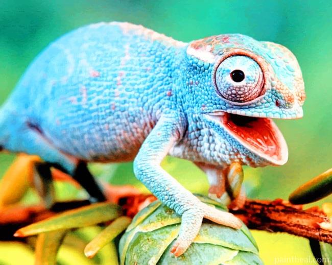 Checkered Lizard Species Painting By Numbers Kits