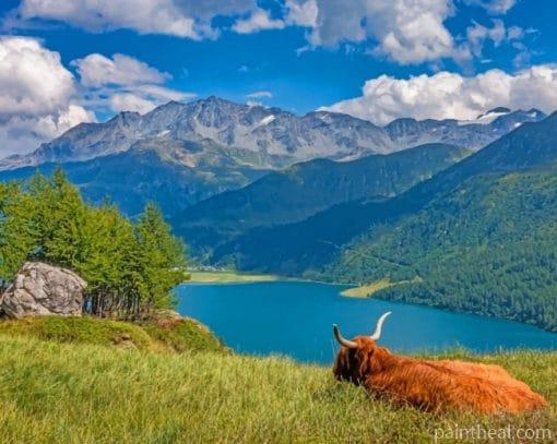 Highland Cow Watching The Lake Painting By Numbers Kits