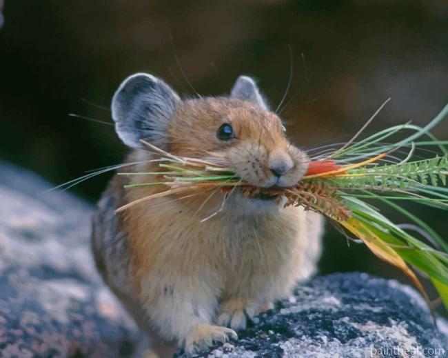 Chinchilla Animal Eating Painting By Numbers Kits