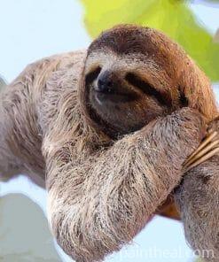 Sloth Laying On A Branch Painting By Numbers Kits