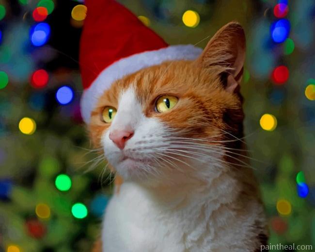 Orange Cat With Christmas Hat Painting By Numbers Kits
