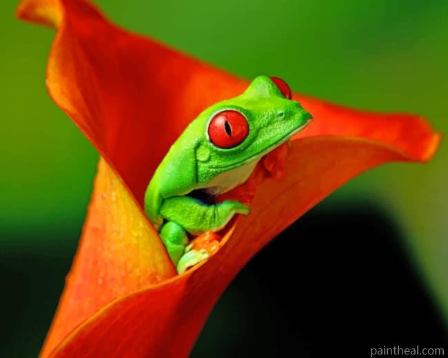 Red Eyed Green Frog Painting By Numbers Kits