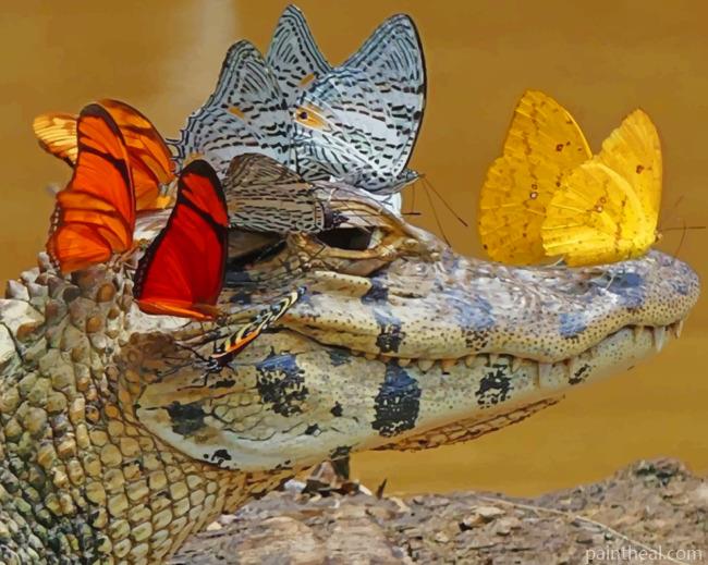 Alligator With Butterfly Painting By Numbers Kits