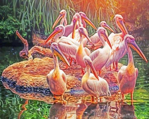 Great White Pelicans Painting By Numbers Kits