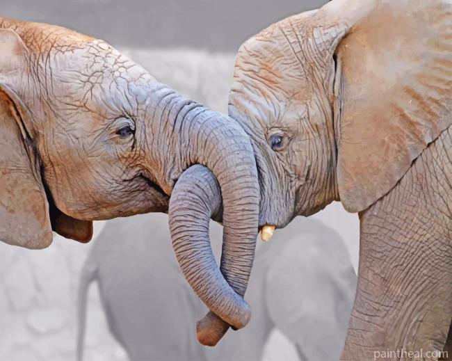 Elephant Lovers Painting By Numbers Kits