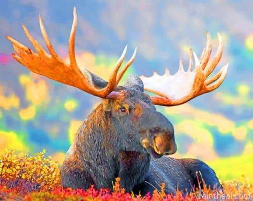 Moose With Big Horns Painting By Numbers Kits