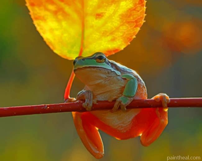 Frog On Stick Painting By Numbers Kits