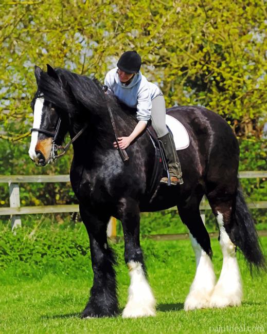 Stallion Black Horse Painting By Numbers Kits