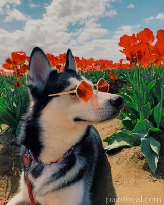 Husky In Poppy Field – 5D Diamond Painting Painting By Numbers Kits