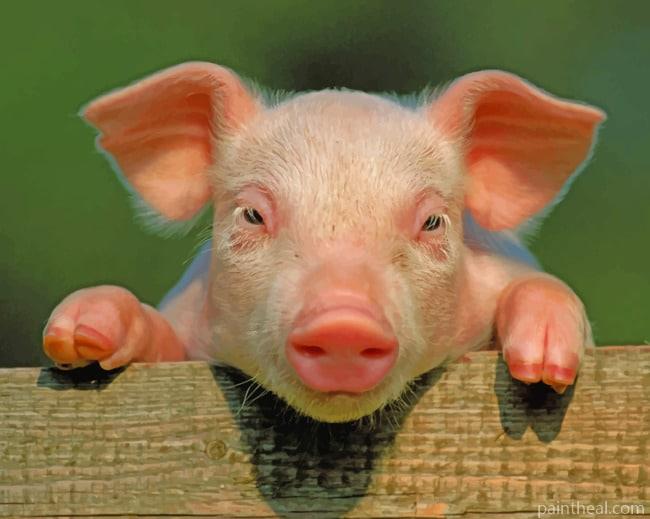 Pig With Hooves Up Painting By Numbers Kits