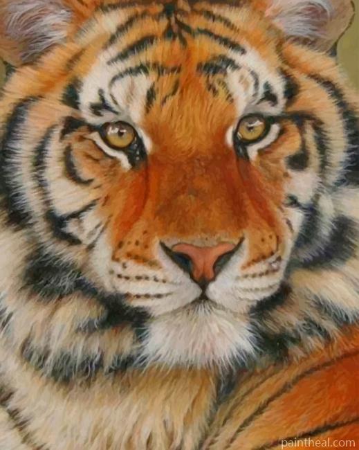 Siberian Tiger Closeup Painting By Numbers Kits