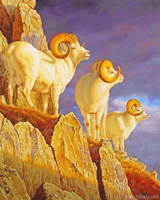 Horned White Sheep Painting By Numbers Kits