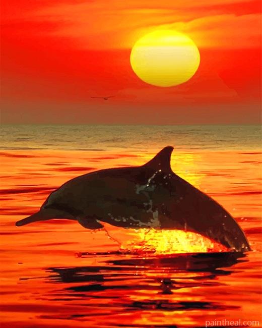 Lonely Dolphin Sunset Painting By Numbers Kits