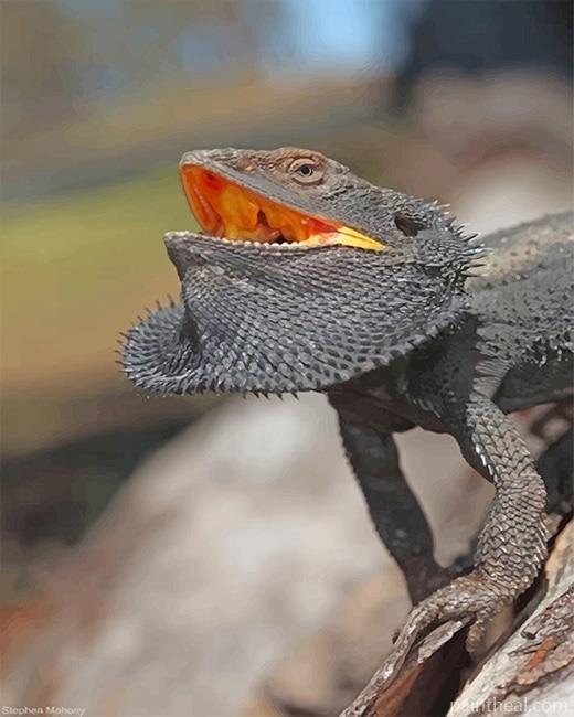 Scary Bearded Dragon Painting By Numbers Kits
