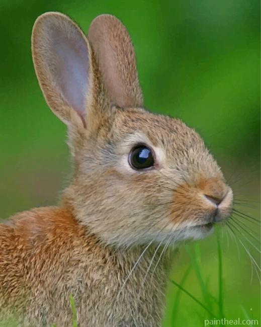 Cute Beige Rabbit Painting By Numbers Kits