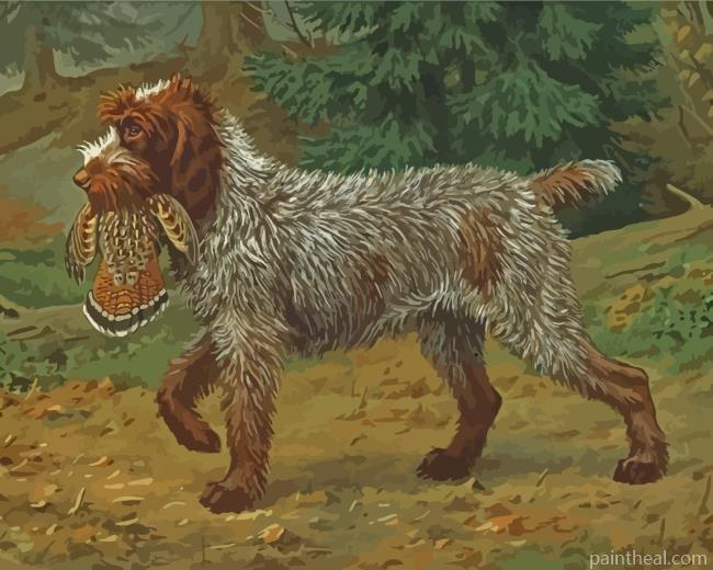 Wirehaired Pointing Griffon Hunting Painting By Numbers Kits