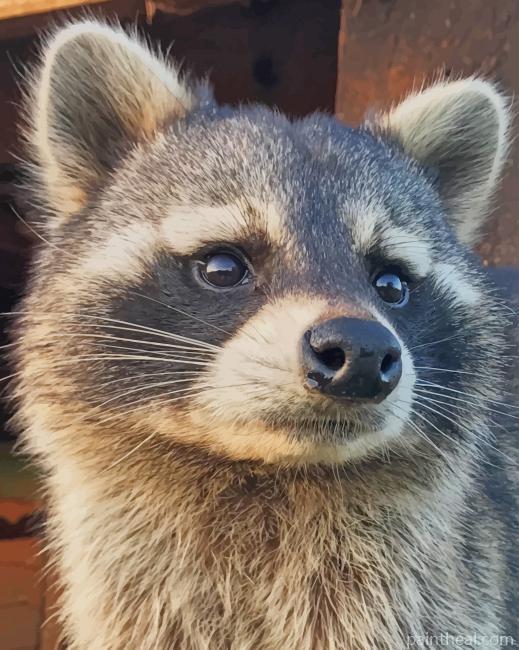Raccoon Face Painting By Numbers Kits