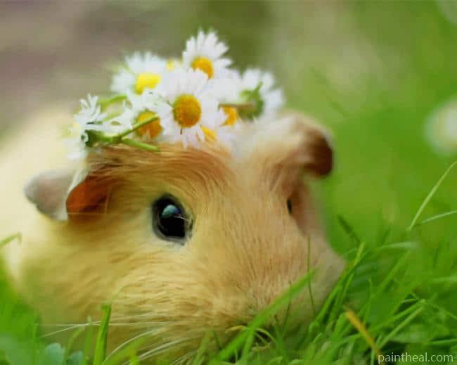 Cute Hamster With Flower Crown Painting By Numbers Kits