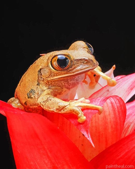 Brown Frog On Red Petal Flower Painting By Numbers Kits