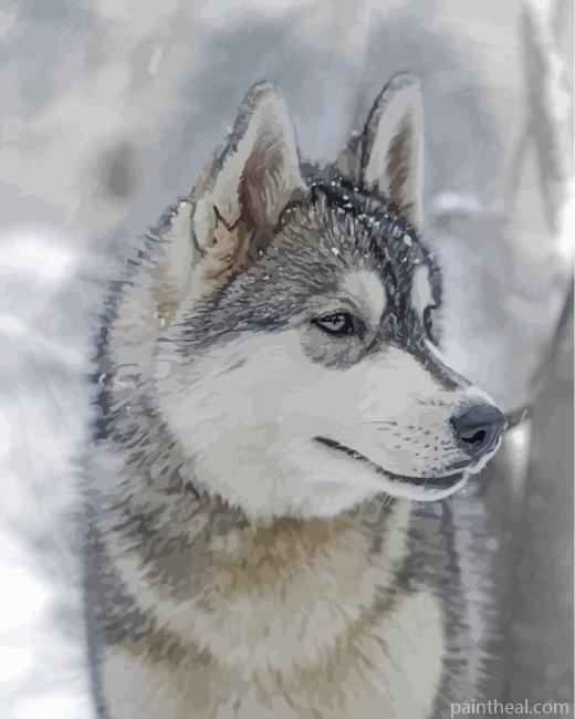 Aesthetic Husky And Snow Painting By Numbers Kits