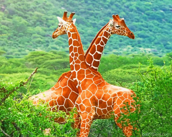 Twin Giraffes In Africa Painting By Numbers Kits