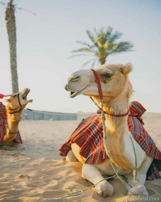 Desert Camel Aesthetic Painting By Numbers Kits