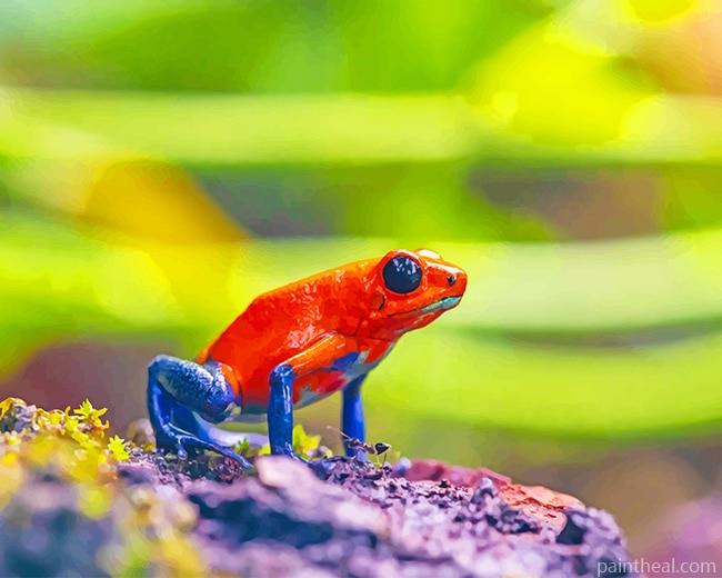 Red and Blue Frog Painting By Numbers Kits