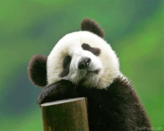 Cute Panda Bear Painting By Numbers Kits